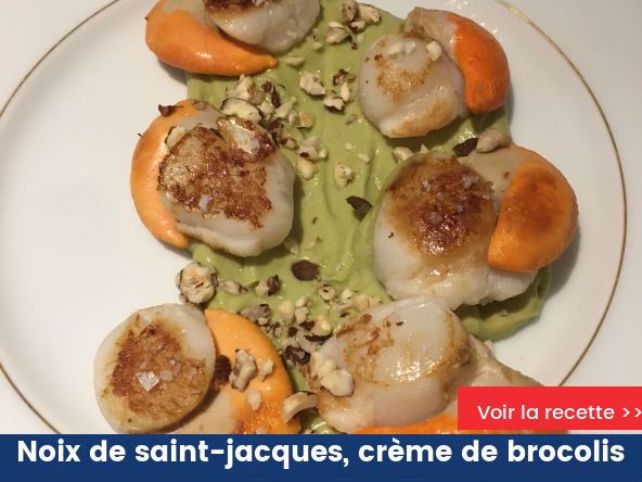 Noix de saint-jacques sur crème de brocolis